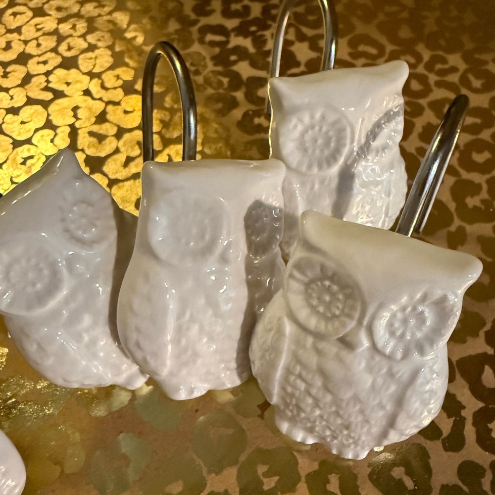 Set of 12 Owl Shower Curtain Hooks